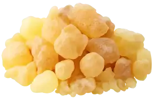 Weihrauch (Boswellia-Harz)