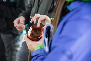 Iglasti gozd nudi smolo v treh oblikah