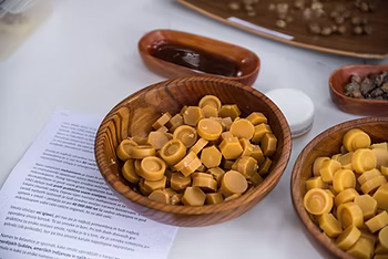 Zvečilni gumi je eden od darov iglastega gozda