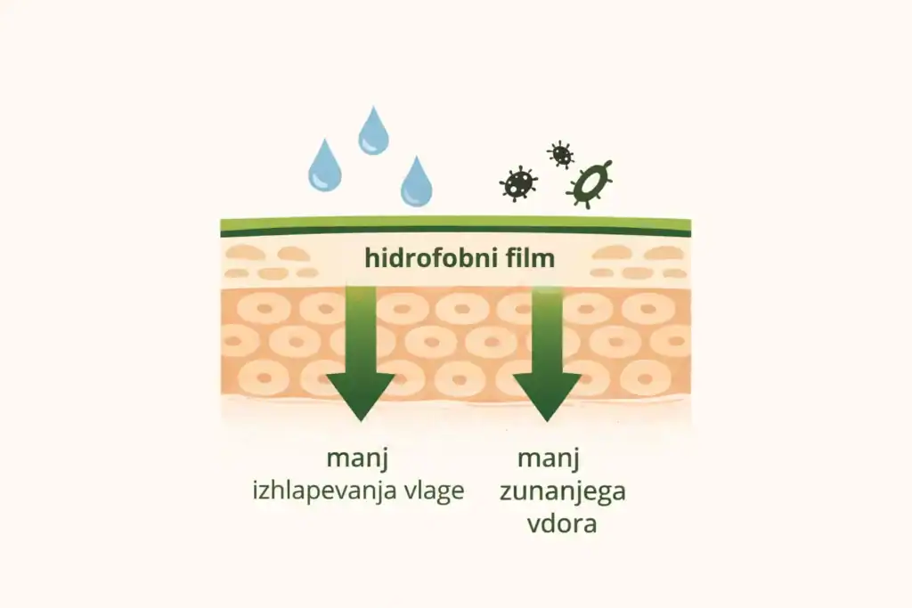 Shema kože s tankim zaščitnim hidrofobnim slojem smole na površini.