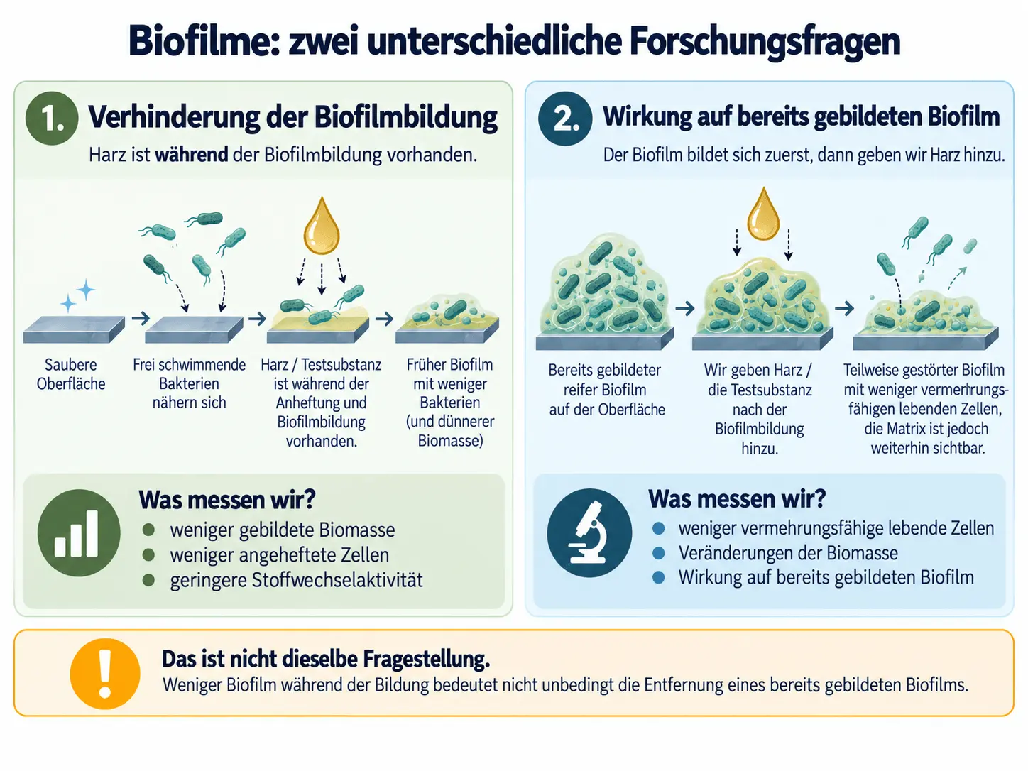 Unterschied zwischen der Hemmung der Biofilmbildung und der Wirkung auf einen bestehenden Biofilm