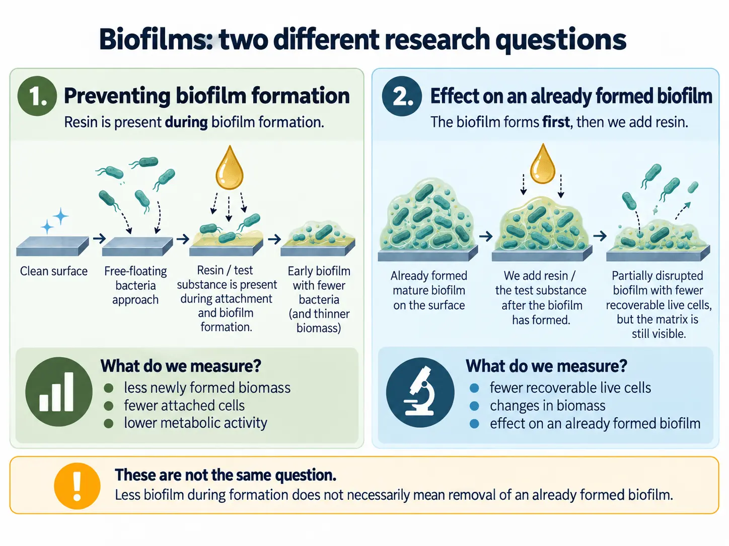 Difference between preventing biofilm formation and acting on an established biofilm