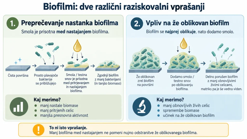 Razlika med preprečevanjem nastanka biofilma in vplivom na že oblikovan biofilm
