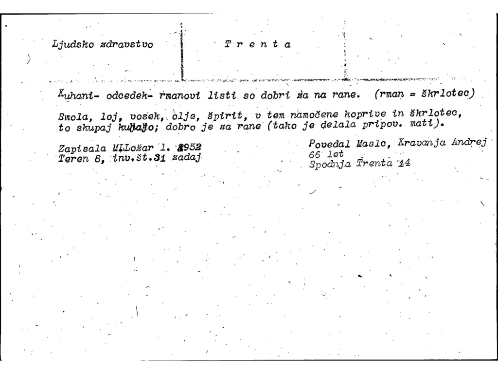 Terenski etnografski zapis iz Trente iz leta 1952 o pripravi smolnega pripravka